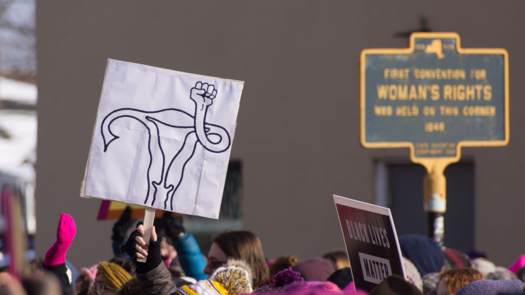a protest sign bears the image of a uterus raising a clenched fist.