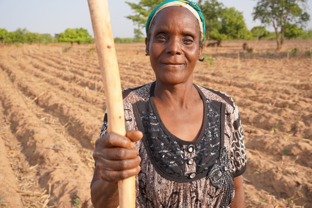 Meet Five Newly Empowered Women Farmers From Zambia And Mozambique Ms Magazine