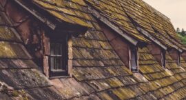 A Roof of One’s Own