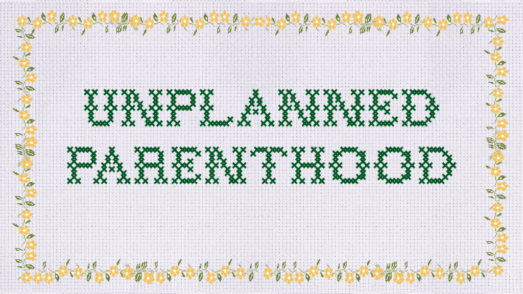 unplanned-parenthood-feminist-art-michelle-hartney-birth-control-contraception-access