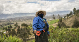 order-groceries-online-ecuador-harvest-of-the-day-women-farmers