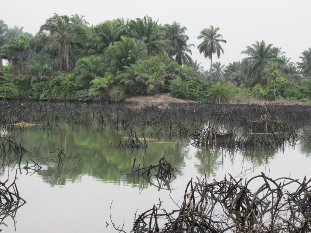 ogoni-women-climate-change-shell-oil-fossil-fuel