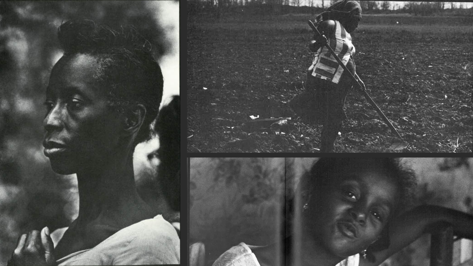 In Search of Our Mothers' Gardens: The Creativity of Black Women in the  South (May 1974) - Ms. Magazine