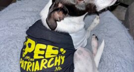 Pets Pee on the Patriarchy