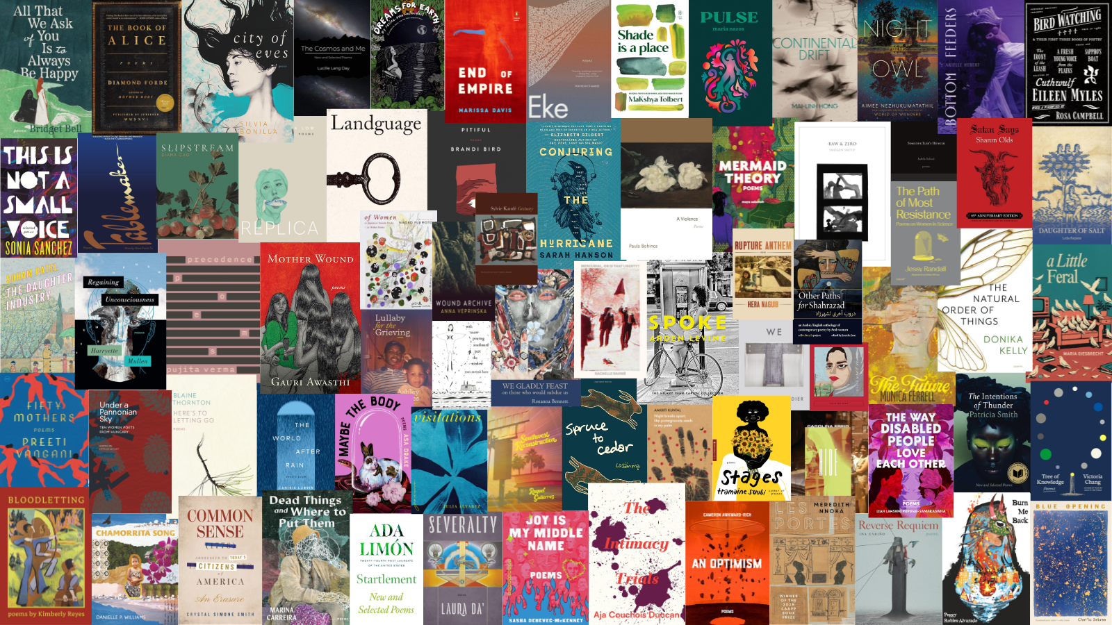 Reads for the Rest of Us: The Best Poetry of 2025 and 2026