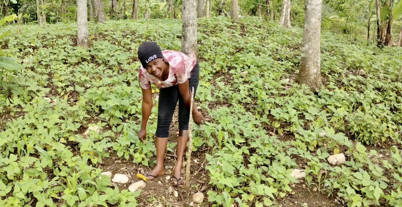 How One Haitian Mother Rebuilt Her Life After Gang Violence—with Courage, Determination, Enterprise and a Small Loan