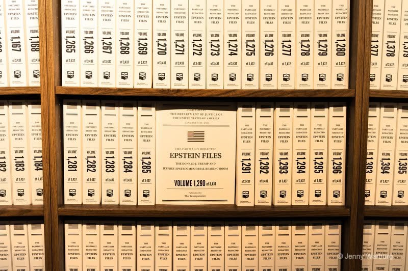Three rows of binders line wooden shelves with numbers on the spines ranging from 1,167 to 1,395. A binder in the middle is facing forward and is labeled "Epstein Files Volume 1,290."