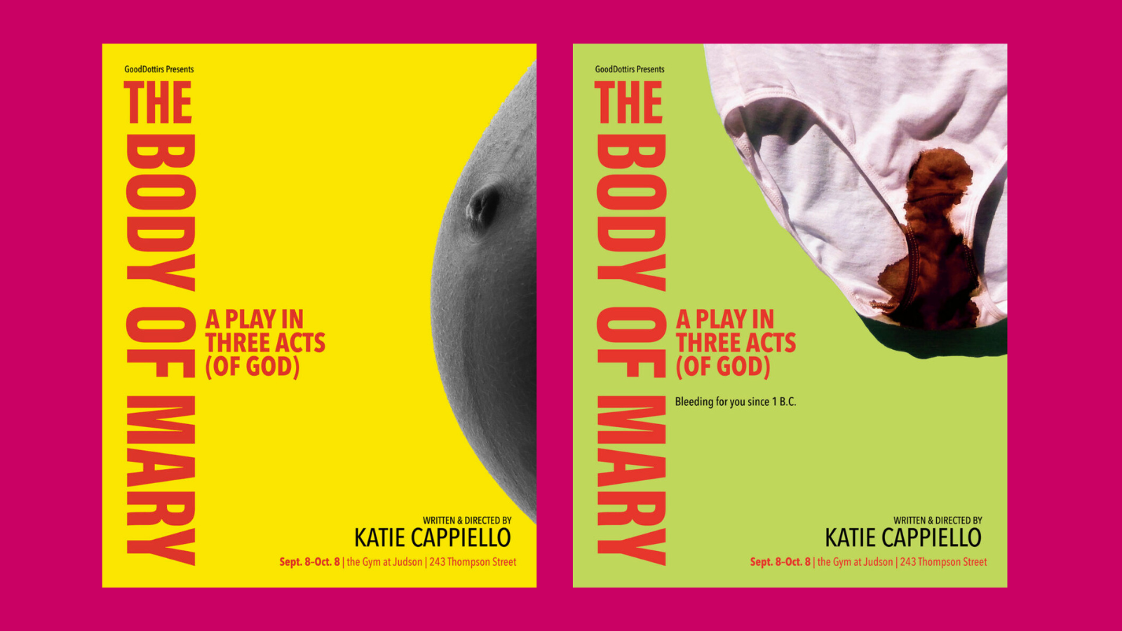 New Off-Broadway Play ‘The Body of Mary’ Takes on Reproduction, Narrative and Control